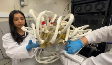 Canadian scientist have brain tumour treatment breakthrough