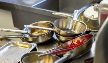 Fitzwilliam Hotel Group cafe ordered to cease serving beef tartare by food safety watchdog – The Irish Times