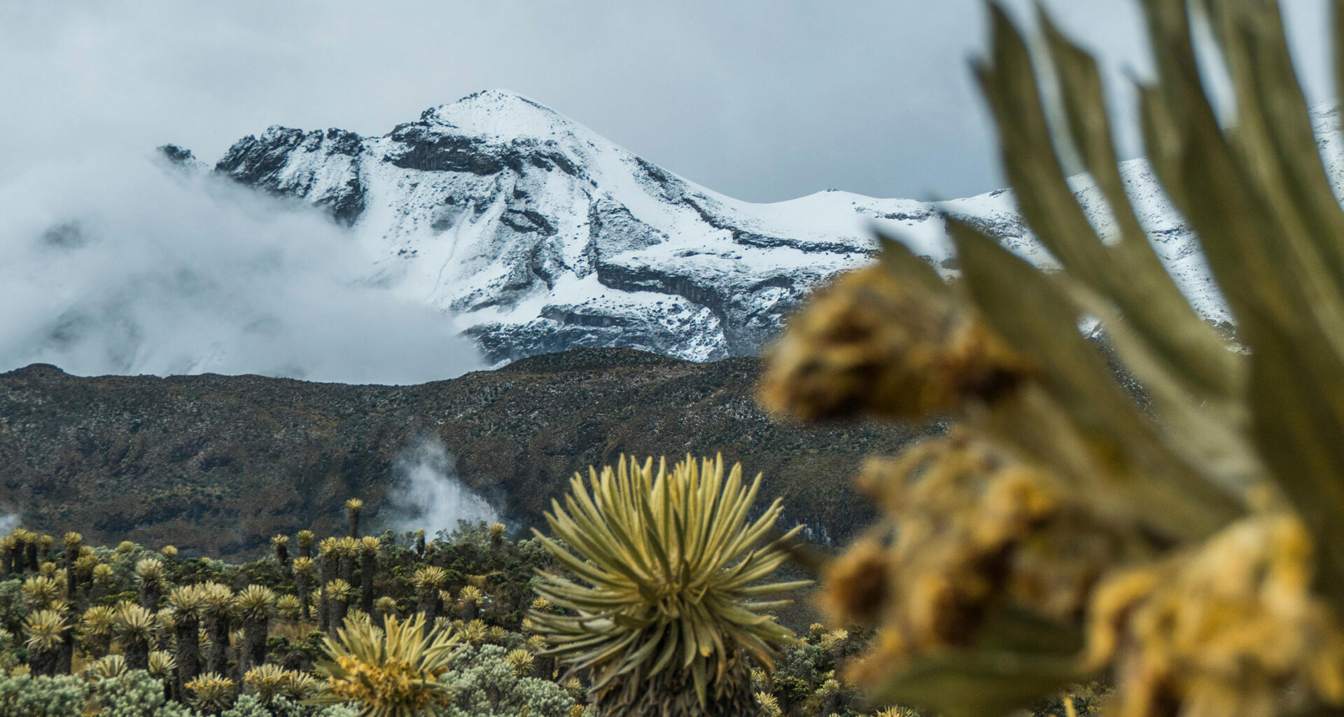 Páramo Wildfire Resilience Facility - CPI