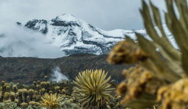 Páramo Wildfire Resilience Facility - CPI