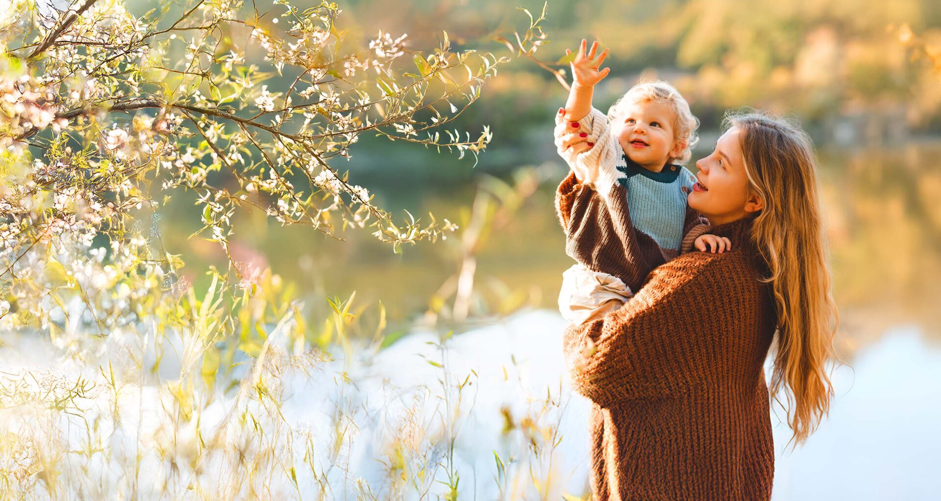 Aviva plc In Focus and Q3 2025 Trading Update