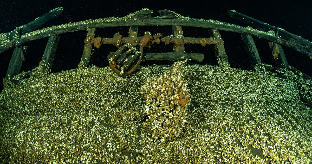 Divers find ‘once-in-a-lifetime’ pristine shipwreck near the bottom of Lake Ontario
