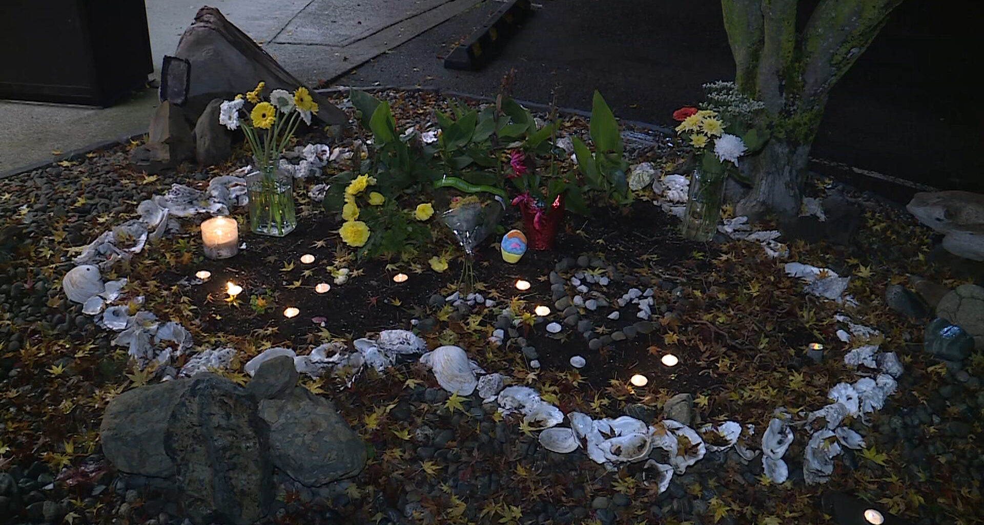 Candlelight vigil held as search continues for missing Nanaimo woman