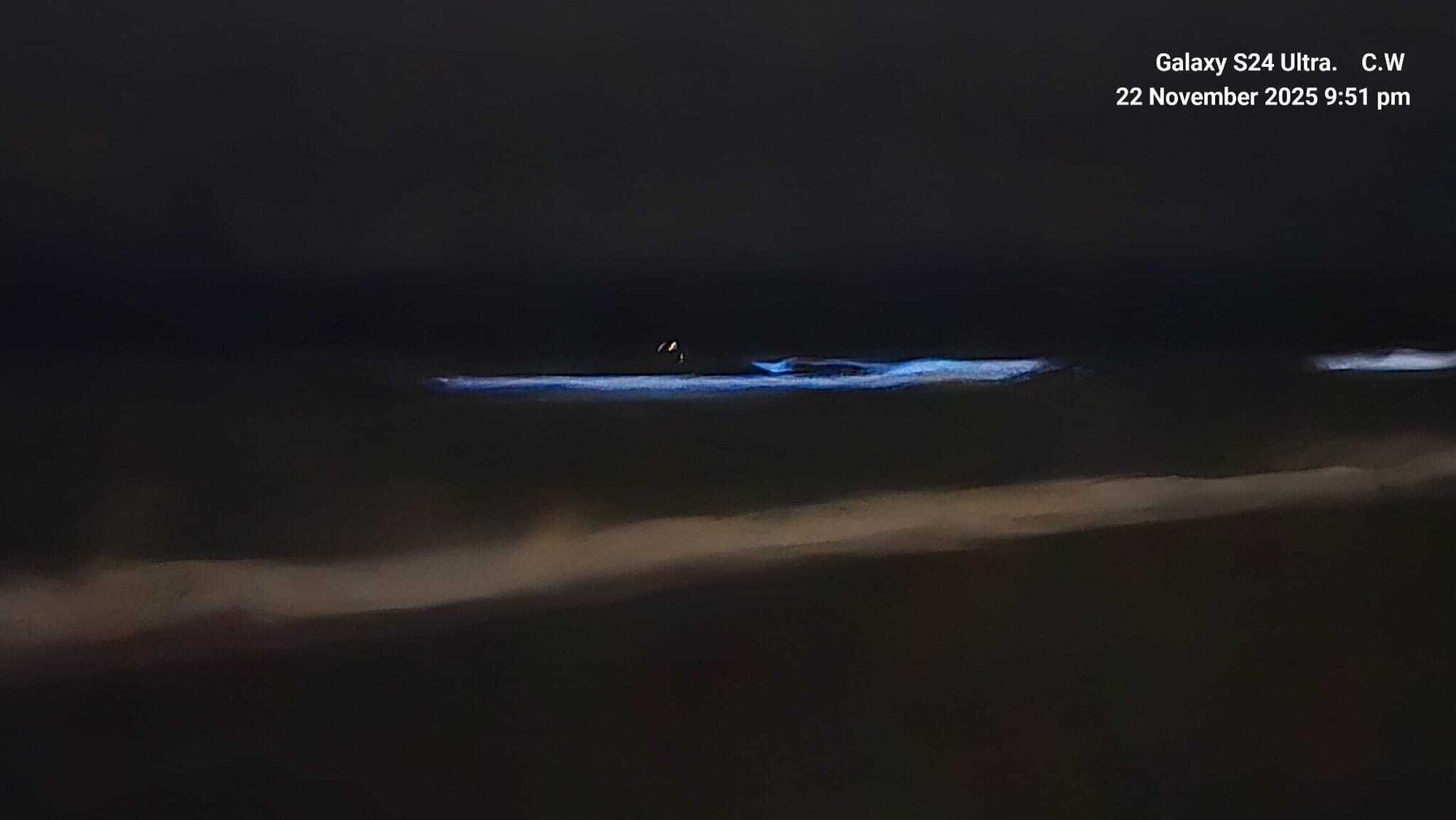  Large crowds have flocked to Pāpāmoa recently to see the bioluminescence. Photo /Che Whiteley