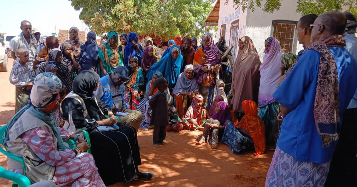 Today's top news: Occupied Palestinian Territory, Somalia