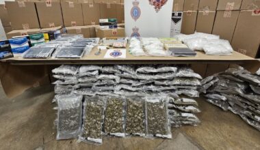 Newfoundland police arrest 3 men, seize contraband cigarettes worth $1M in months-long investigation - CTV News