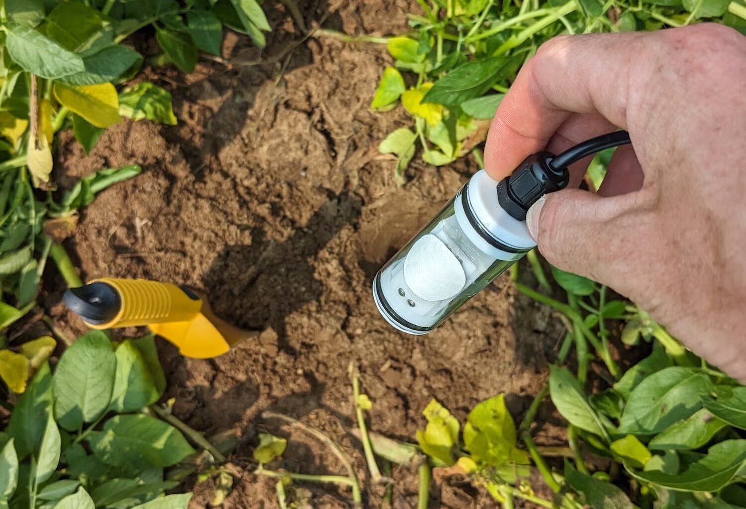 A window underground: New sensors measure emissions from soil in real time | CU Boulder Today
