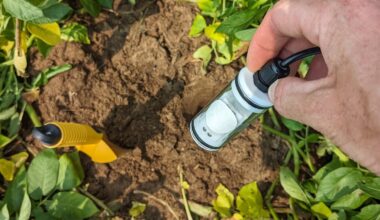 A window underground: New sensors measure emissions from soil in real time | CU Boulder Today