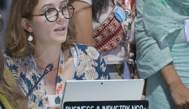 COP30 falls short of global economic needs - ICC