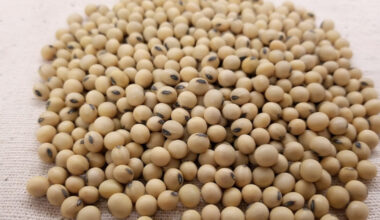 Elian expanding soyabean processing in Barcelona