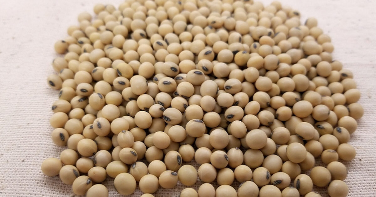 Elian expanding soyabean processing in Barcelona
