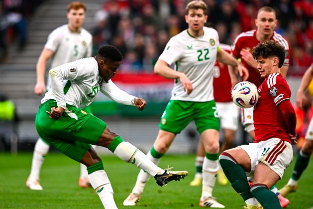Hungary v Ireland, World Cup qualifier: Troy Parrott levels from the spot in frantic early stages - The Irish Independent