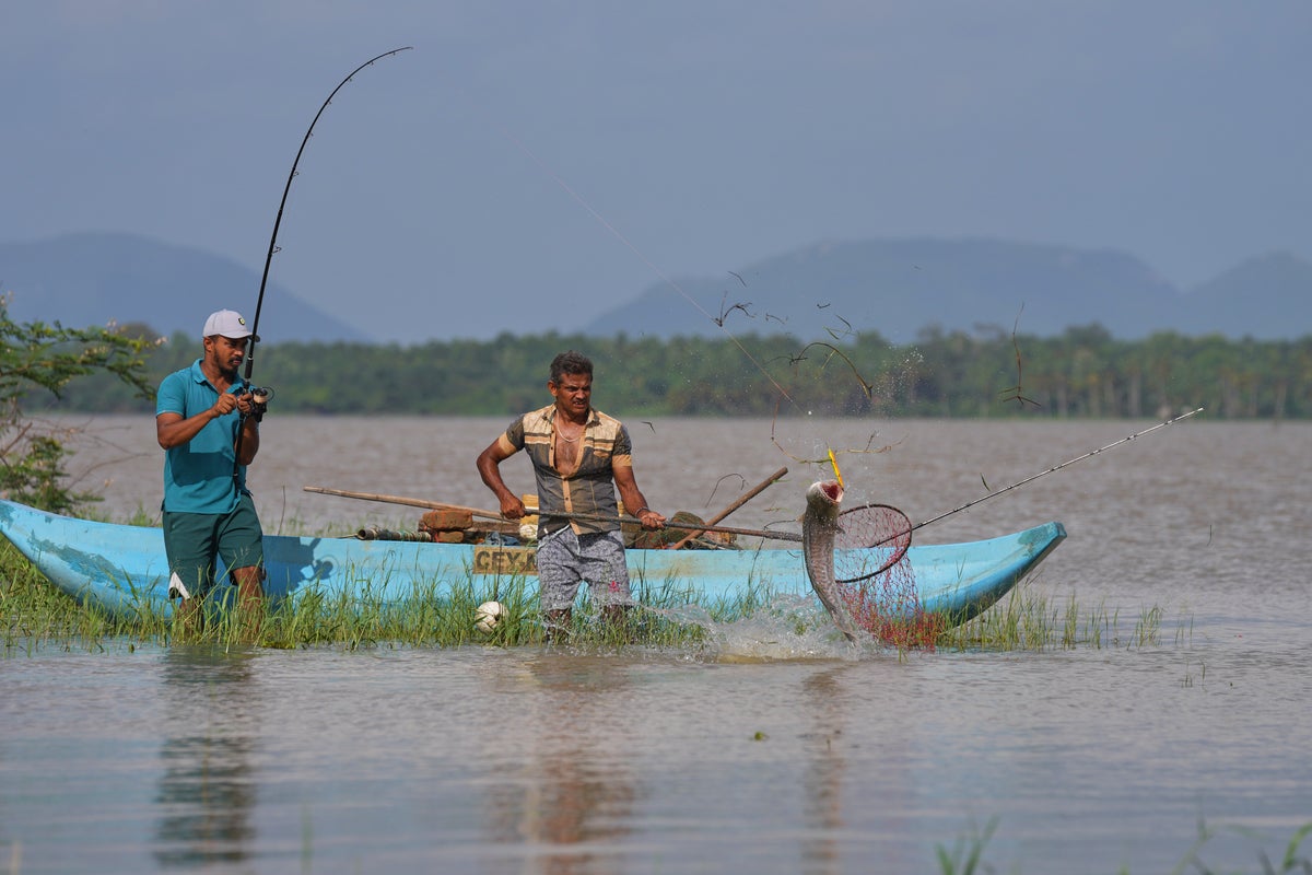 Sri Lankan freshwater fishers keen to turn invasive species threat into an opportunity