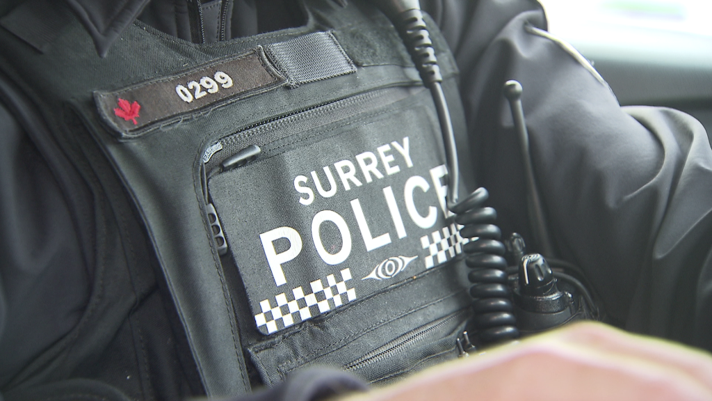Surrey police confirm they are investigating shots fired at a home