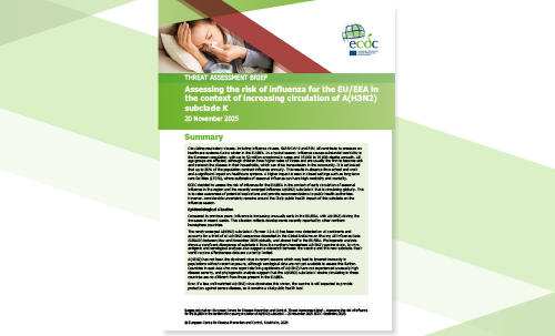 Assessing the risk of influenza for the EU/EEA in the context of increasing circulation of A(H3N2) subclade K