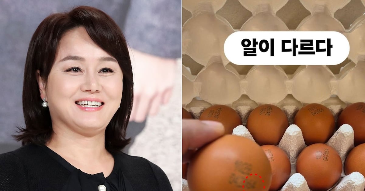 Lee Kyung-sil Defends Egg Prices, Citing Superior Quality - 조선일보