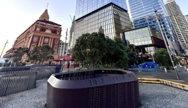 Weekly Roundup 21-November-2025 - Greater Auckland