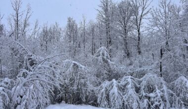 Why Environment Canada got Montreal’s snowstorm forecast wrong - CTV News
