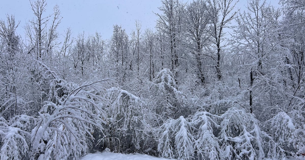 Why Environment Canada got Montreal’s snowstorm forecast wrong - CTV News