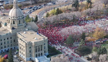 Alberta Teachers’ Association to reveal plans for legal challenge of government’s forced end to strike - CTV News