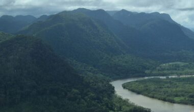 What’s at stake for the environment in Honduras’ presidential election?