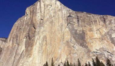 U.S. to slap big surcharge on foreign visitors to national parks - CTV News