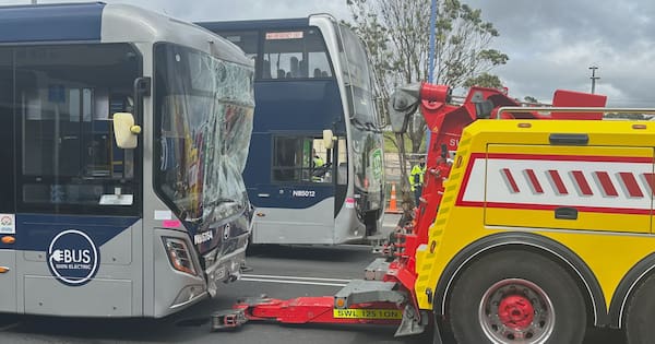 One in hospital after Auckland crash involving buses, vehicle