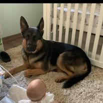 Arnie was eight-years-old.