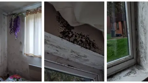 Photographs show the significant mold in Kerrie's Cambridgeshire flat to environmental health in 2020
