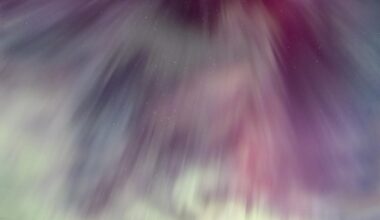 On the ball: award-winning image nailed