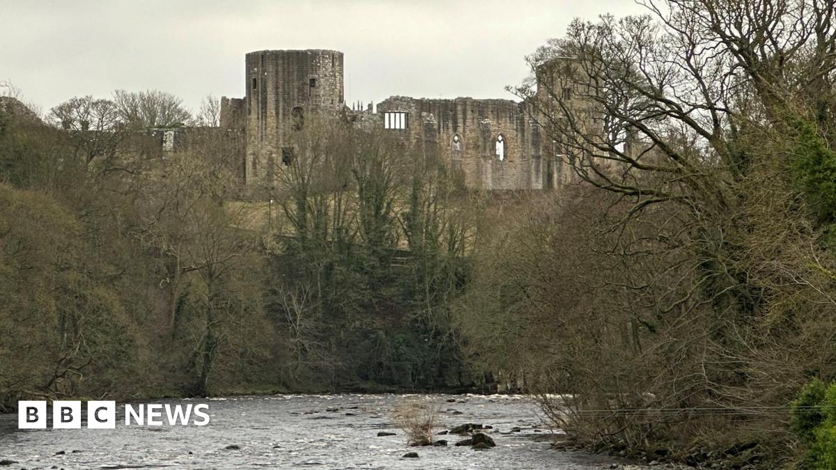 The ruin of a large castle on a hill surrounded trees in front and a river running along the fornt.