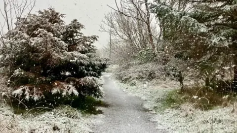 BBC Weather Watchers / Tattie-Bogle Snowy scene with trees and a path between them as a light dusting of snow covers the branches and ground, hiding the green grass
