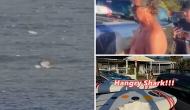 Wind surfer escapes unharmed after shark attack near Margaret River