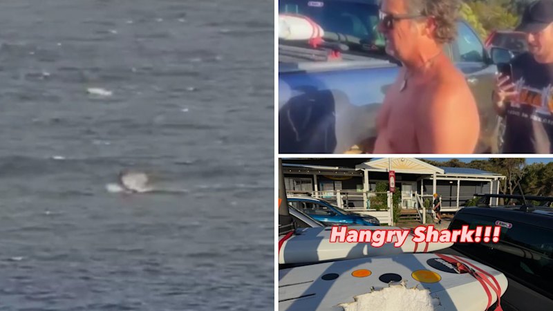 Wind surfer escapes unharmed after shark attack near Margaret River