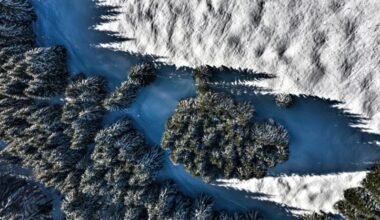 UN forum launches first “total balance sheet” transition guide for insurers at COP30 – United Nations Environment – Finance Initiative