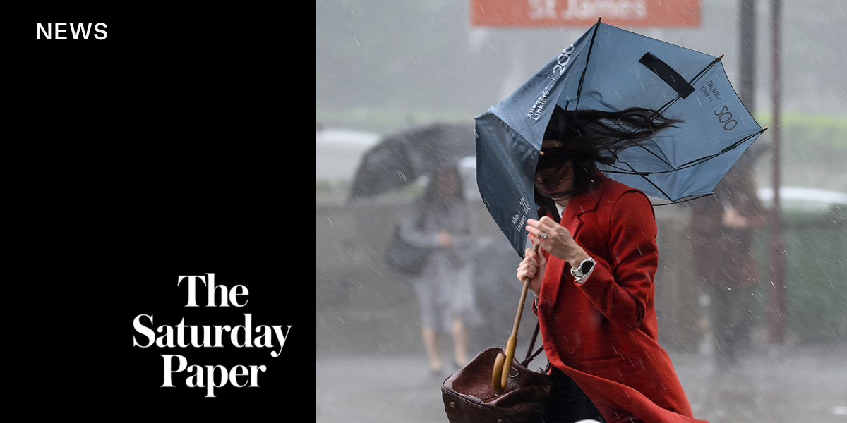 ‘Practically unusable’: Inside the BoM’s website shambles