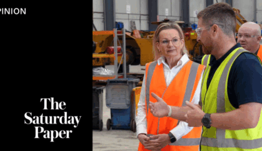 The political cost of keeping the lights on