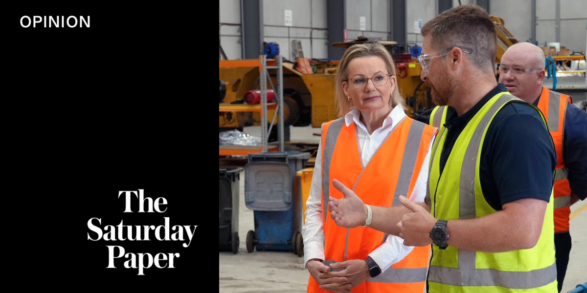 The political cost of keeping the lights on