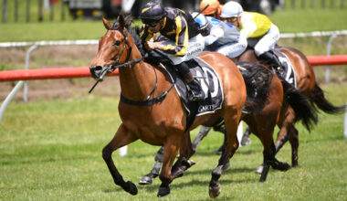 Darren Danis drives Rising Star to victory in the Laser Plumbing Waihi Beach 3YO (1400m) at Tauranga.   Photo: Kenton Wright (Race Images)