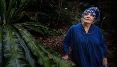 Art scene icon joins fight against Lavender Bay apartment towers