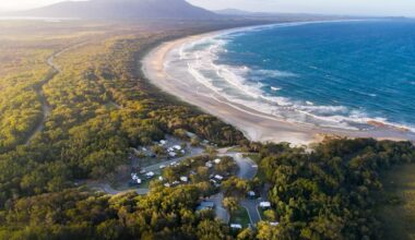 Woman killed, man seriously injured in shark attack - The Sydney Morning Herald