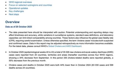 Multi-country outbreak of cholera, external situation report #32 -26 November 2025