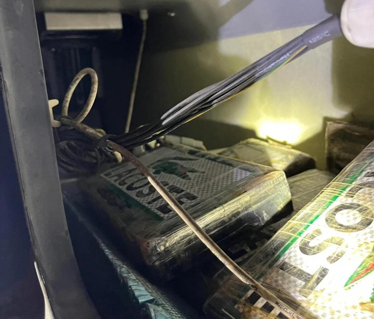 35kg of cocaine worth $12.25m seized in Dunedin