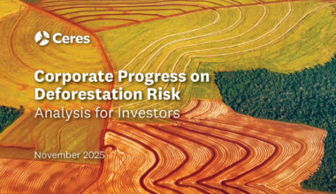 Corporate Progress on Deforestation Risk: Analysis for Investors