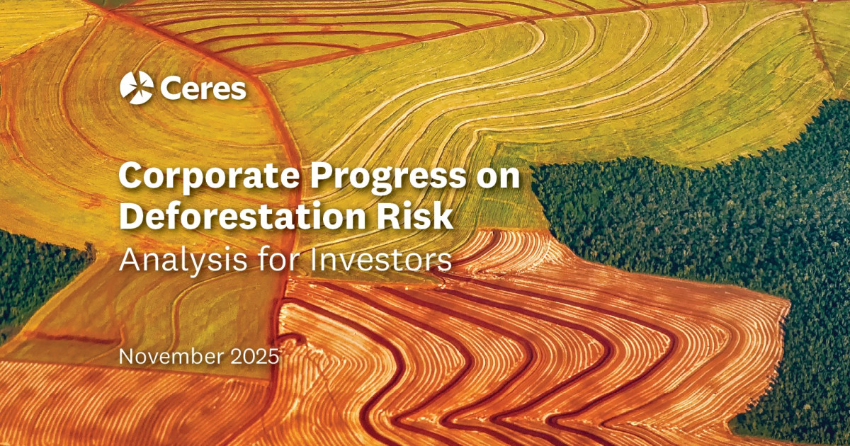 Corporate Progress on Deforestation Risk: Analysis for Investors
