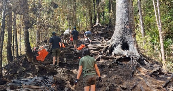 Embers responsible for huge blaze at popular Akl track