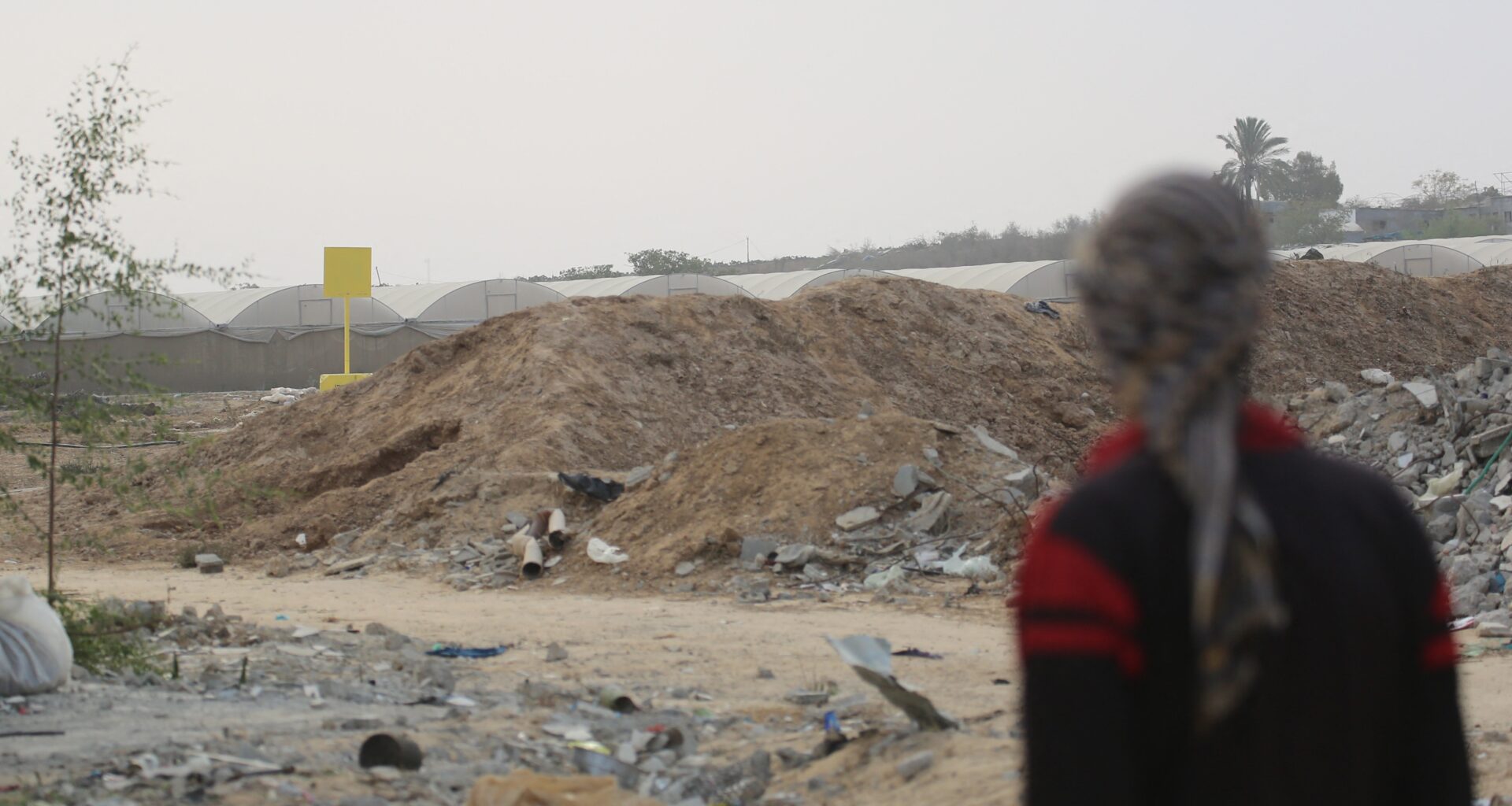 'Stenography': BBC report inside Gaza rekindles criticism over genocide coverage