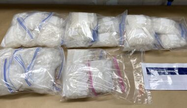 Five meth couriers caught in just over a week at Auckland Airport