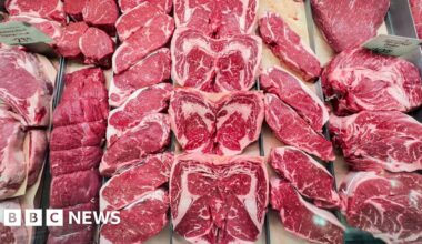 Trump asks for meat packer probe over beef prices