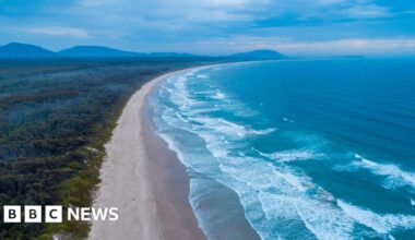 Woman killed and man injured in New South Wales